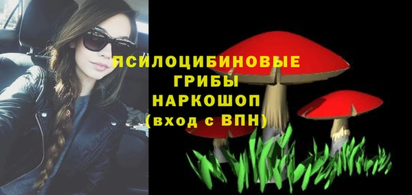 марки lsd Гусиноозёрск