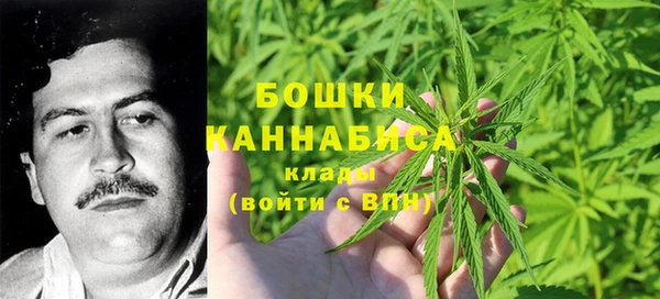 гидра Дмитриев